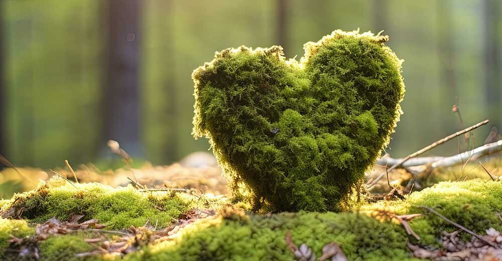 Green Burial Cemetery