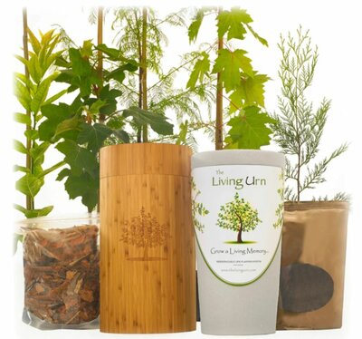 The Living Urn Planting 