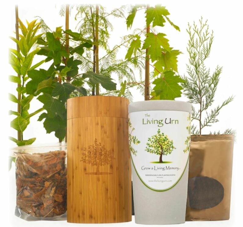 The Living Urn Planting 